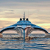 McConaghy Luxury Multihull